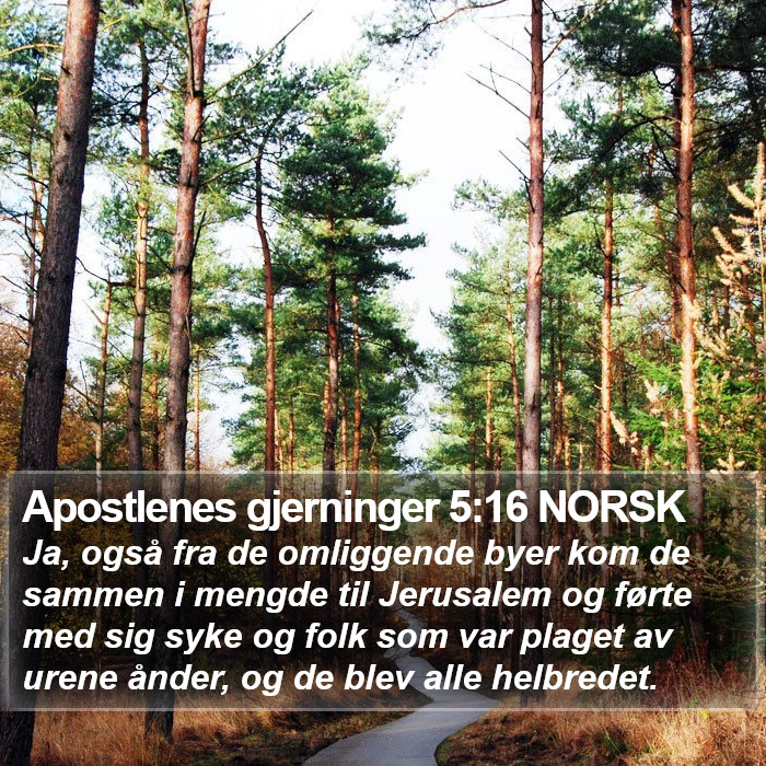 Apostlenes gjerninger 5:16 NORSK Bible Study