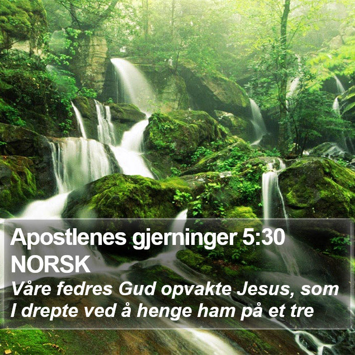 Apostlenes gjerninger 5:30 NORSK Bible Study