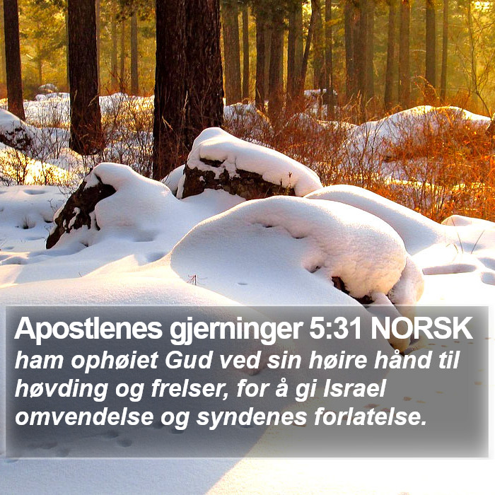 Apostlenes gjerninger 5:31 NORSK Bible Study