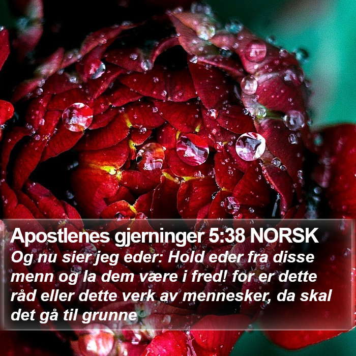 Apostlenes gjerninger 5:38 NORSK Bible Study