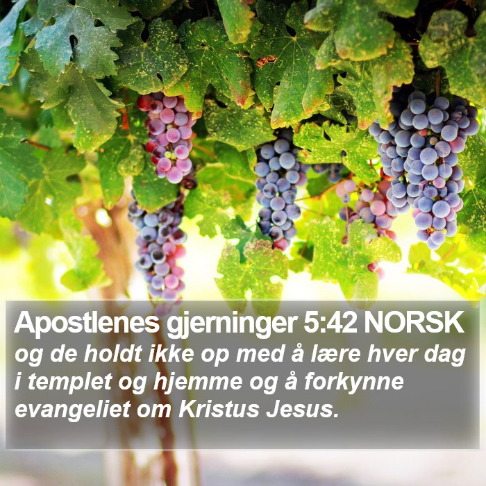 Apostlenes gjerninger 5:42 NORSK Bible Study