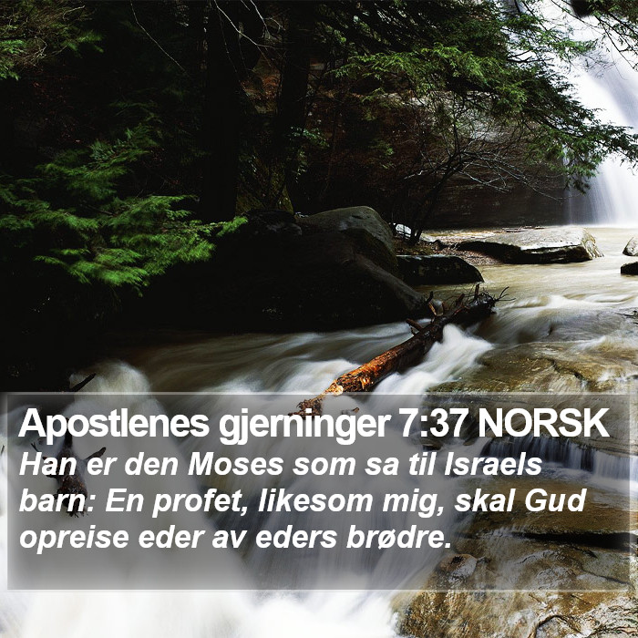 Apostlenes gjerninger 7:37 NORSK Bible Study