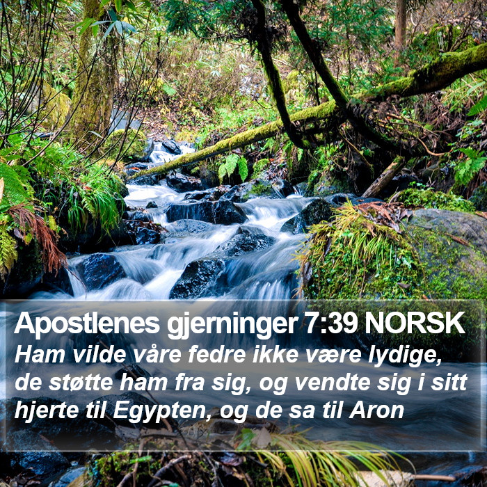 Apostlenes gjerninger 7:39 NORSK Bible Study