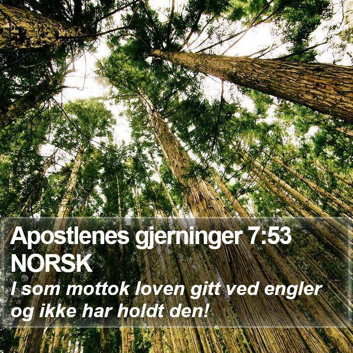 Apostlenes gjerninger 7:53 NORSK Bible Study