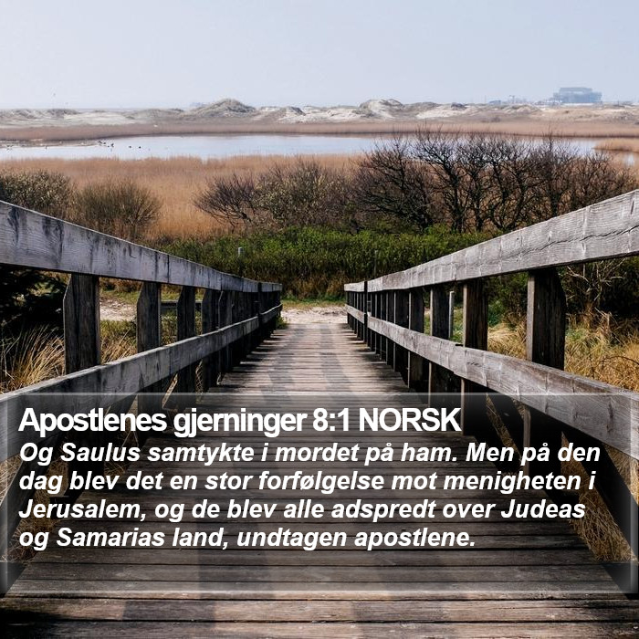 Apostlenes gjerninger 8:1 NORSK Bible Study