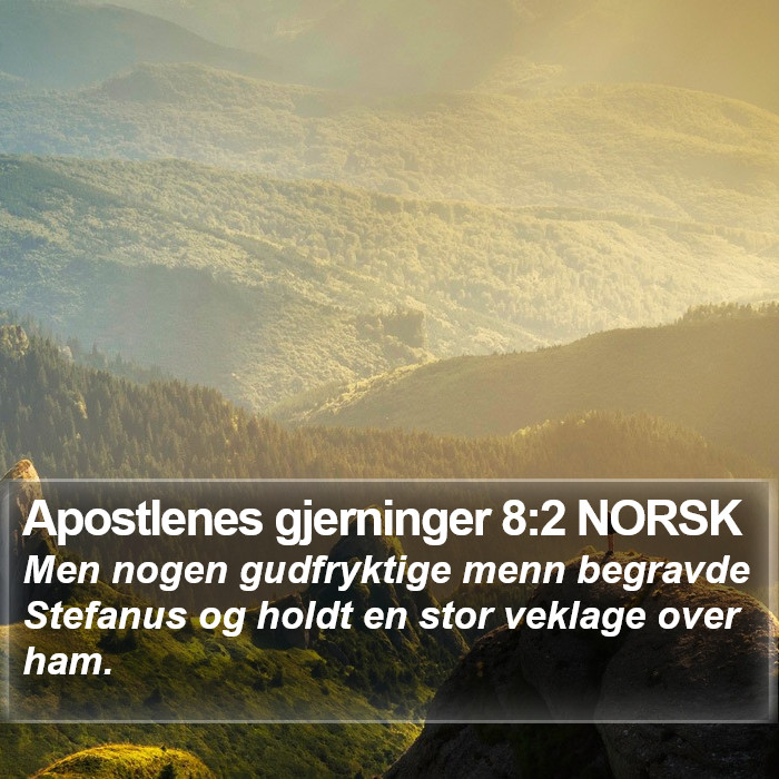 Apostlenes gjerninger 8:2 NORSK Bible Study