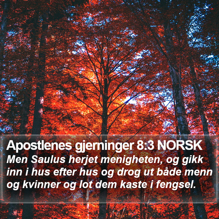 Apostlenes gjerninger 8:3 NORSK Bible Study