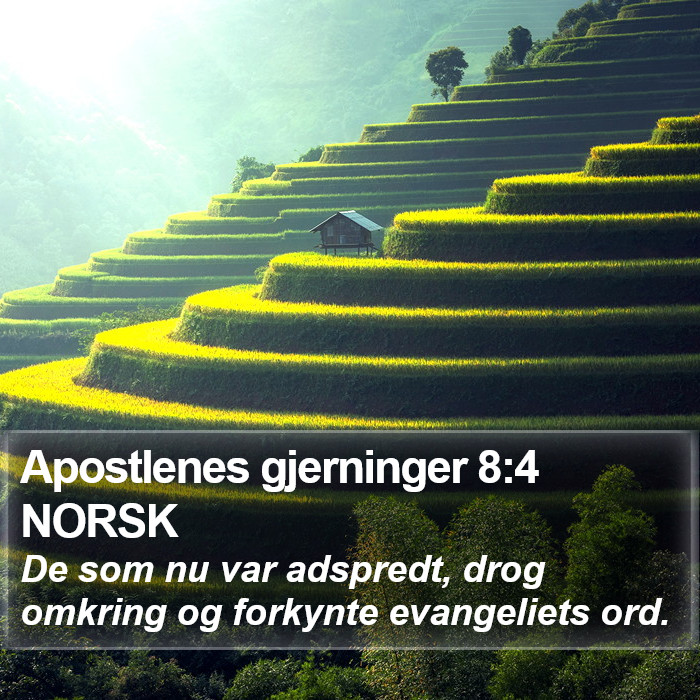 Apostlenes gjerninger 8:4 NORSK Bible Study