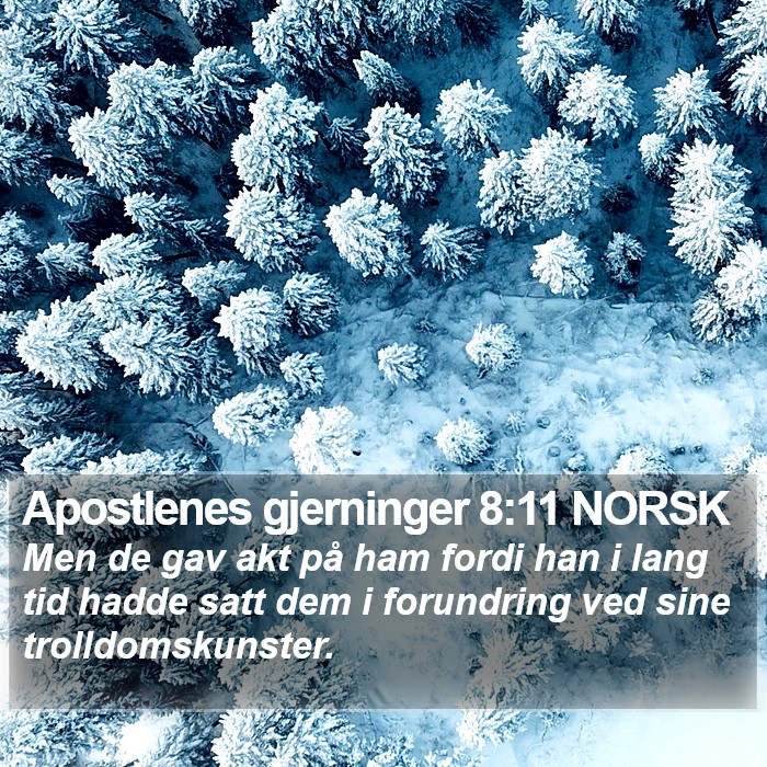 Apostlenes gjerninger 8:11 NORSK Bible Study