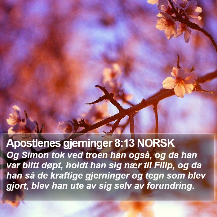 Apostlenes gjerninger 8:13 NORSK Bible Study