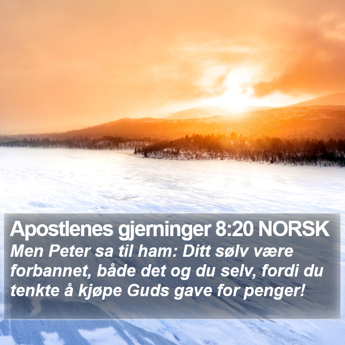 Apostlenes gjerninger 8:20 NORSK Bible Study