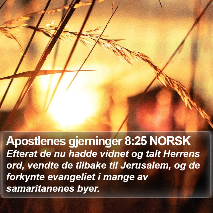 Apostlenes gjerninger 8:25 NORSK Bible Study