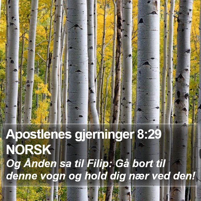 Apostlenes gjerninger 8:29 NORSK Bible Study