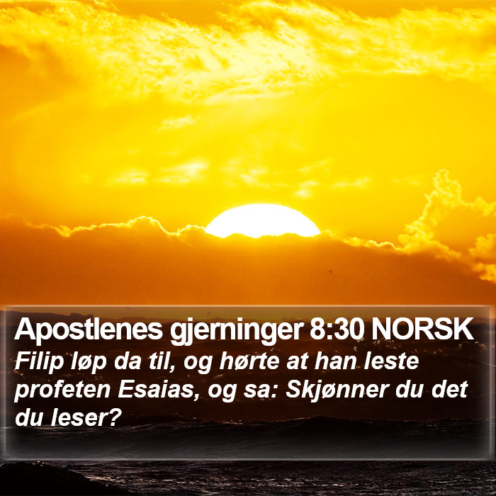 Apostlenes gjerninger 8:30 NORSK Bible Study