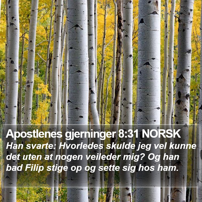 Apostlenes gjerninger 8:31 NORSK Bible Study