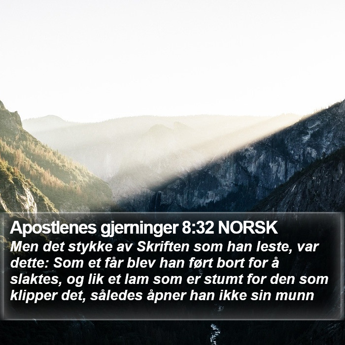 Apostlenes gjerninger 8:32 NORSK Bible Study