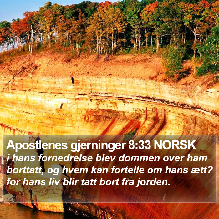 Apostlenes gjerninger 8:33 NORSK Bible Study