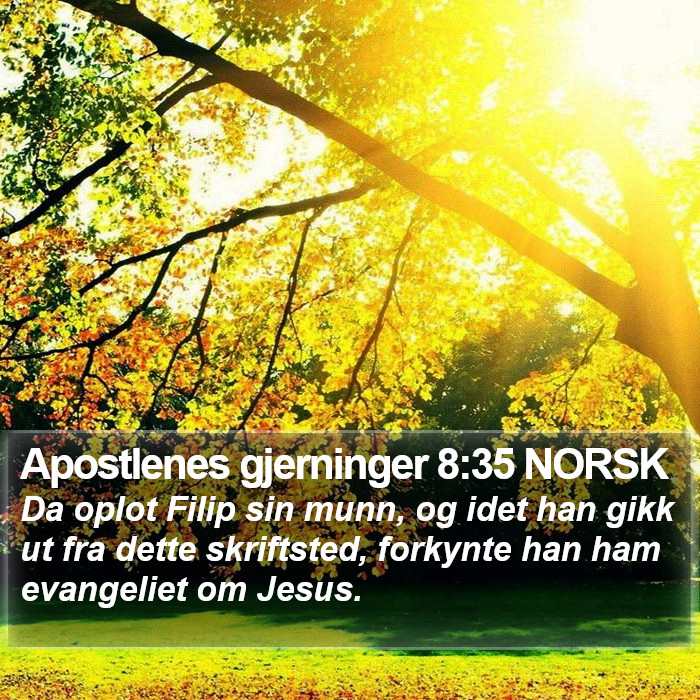 Apostlenes gjerninger 8:35 NORSK Bible Study