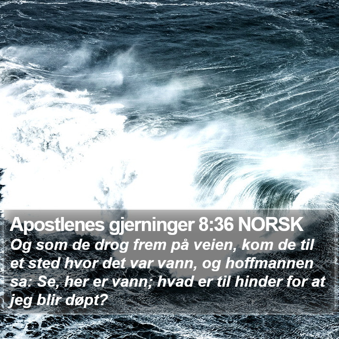 Apostlenes gjerninger 8:36 NORSK Bible Study