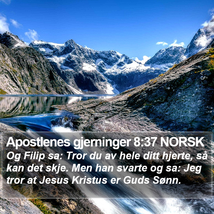 Apostlenes gjerninger 8:37 NORSK Bible Study