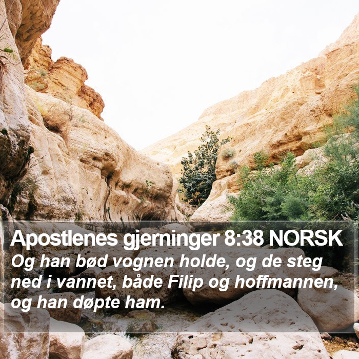 Apostlenes gjerninger 8:38 NORSK Bible Study