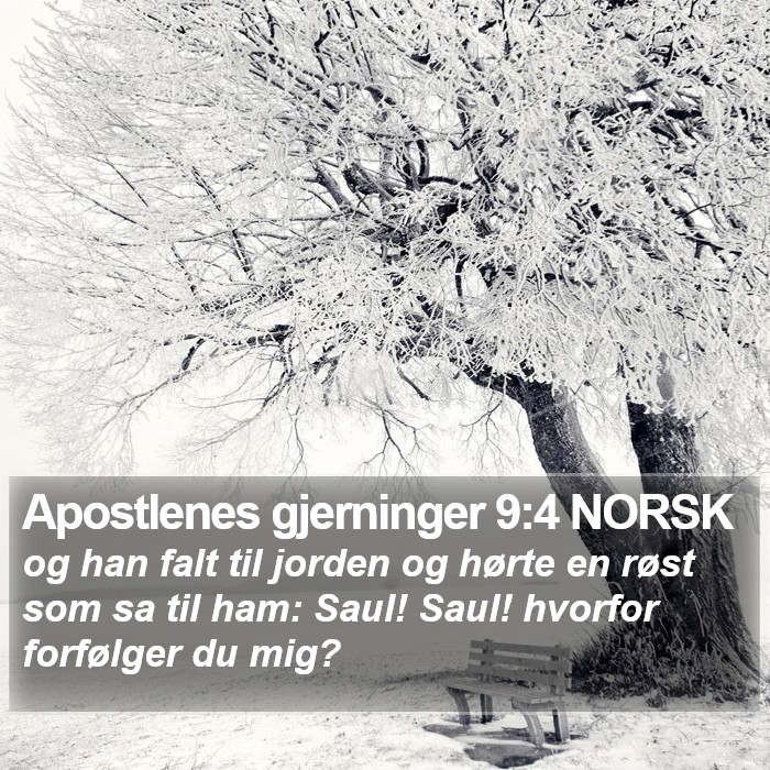 Apostlenes gjerninger 9:4 NORSK Bible Study
