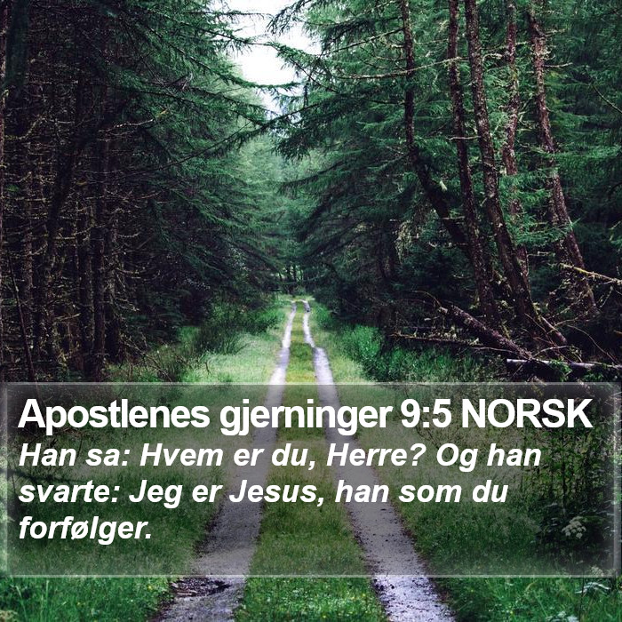 Apostlenes gjerninger 9:5 NORSK Bible Study