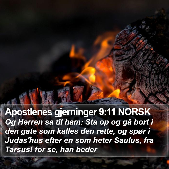 Apostlenes gjerninger 9:11 NORSK Bible Study