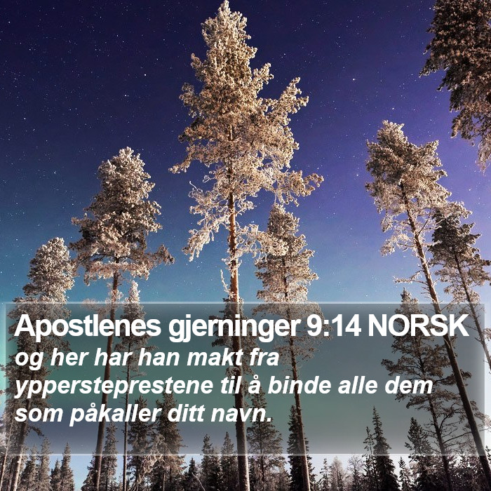 Apostlenes gjerninger 9:14 NORSK Bible Study