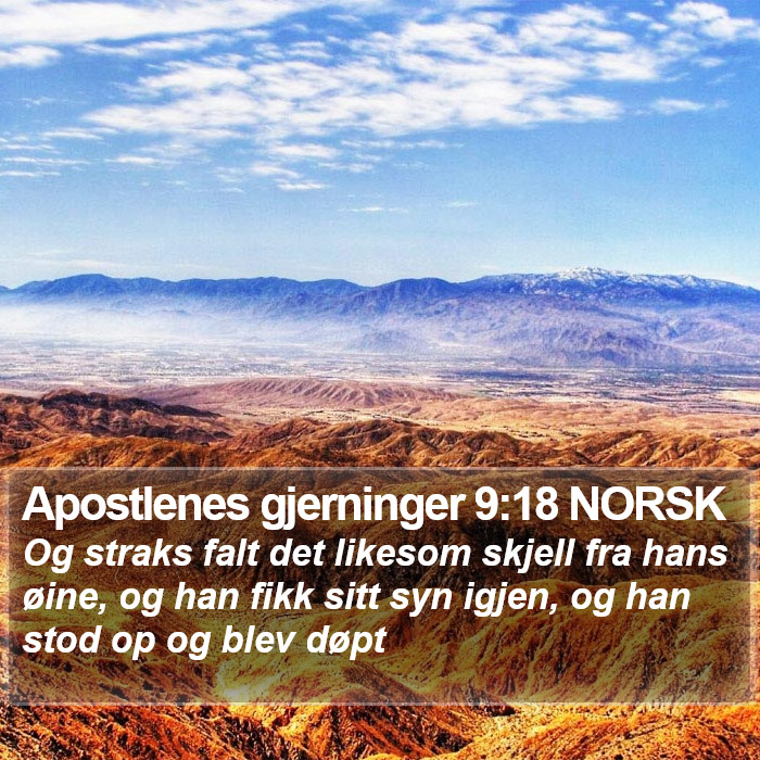 Apostlenes gjerninger 9:18 NORSK Bible Study