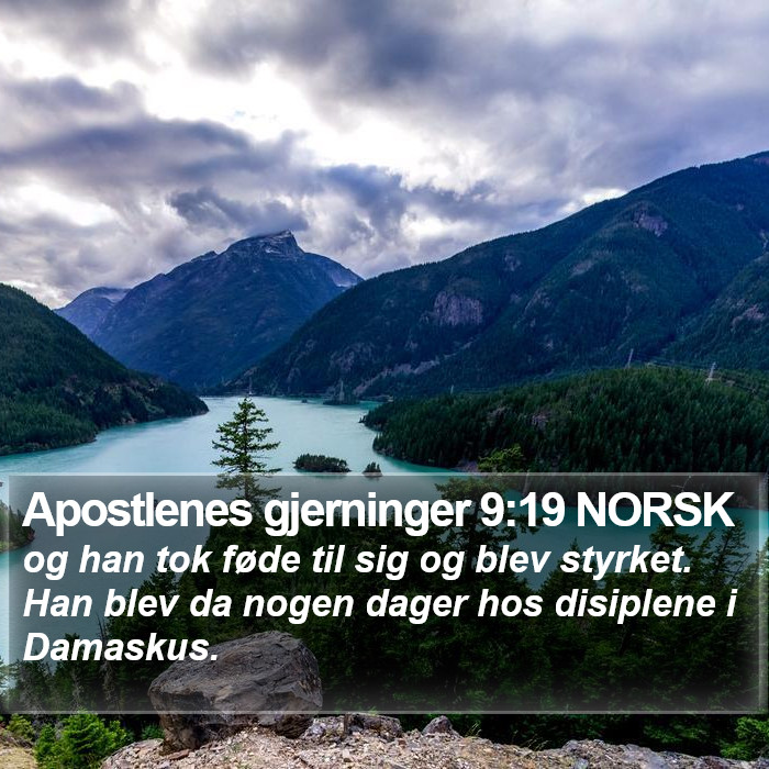 Apostlenes gjerninger 9:19 NORSK Bible Study