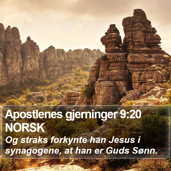 Apostlenes gjerninger 9:20 NORSK Bible Study