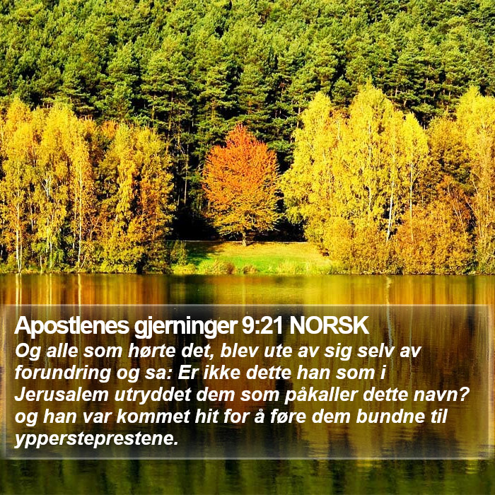 Apostlenes gjerninger 9:21 NORSK Bible Study