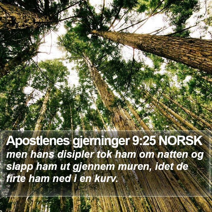 Apostlenes gjerninger 9:25 NORSK Bible Study