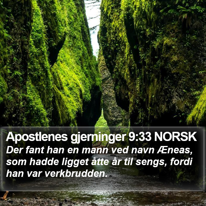Apostlenes gjerninger 9:33 NORSK Bible Study