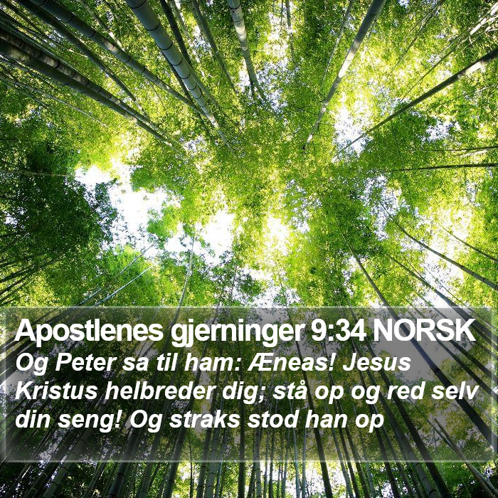Apostlenes gjerninger 9:34 NORSK Bible Study