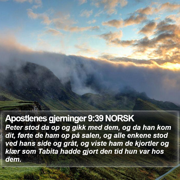 Apostlenes gjerninger 9:39 NORSK Bible Study