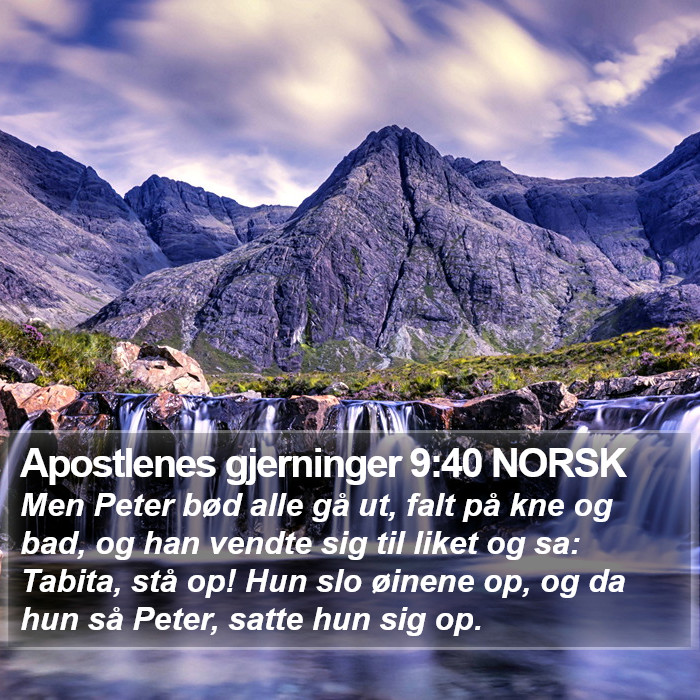 Apostlenes gjerninger 9:40 NORSK Bible Study
