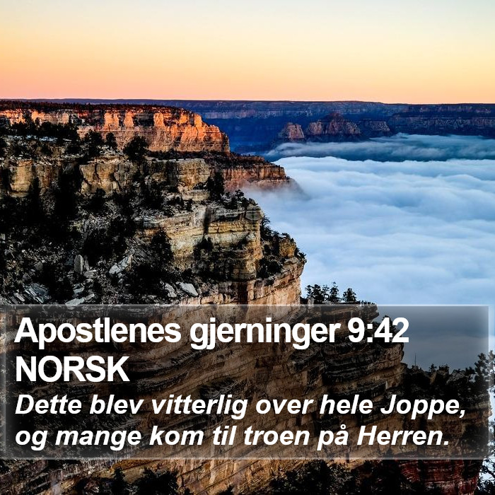 Apostlenes gjerninger 9:42 NORSK Bible Study