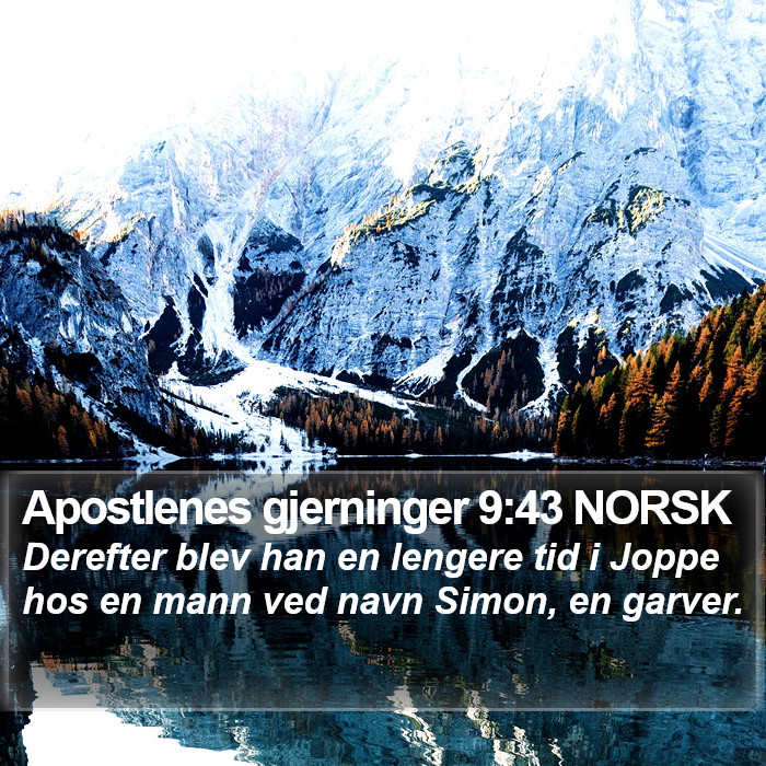 Apostlenes gjerninger 9:43 NORSK Bible Study