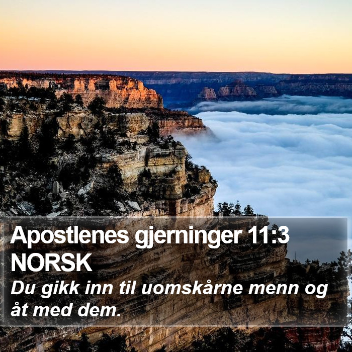 Apostlenes gjerninger 11:3 NORSK Bible Study