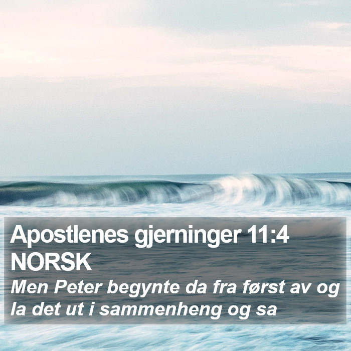 Apostlenes gjerninger 11:4 NORSK Bible Study