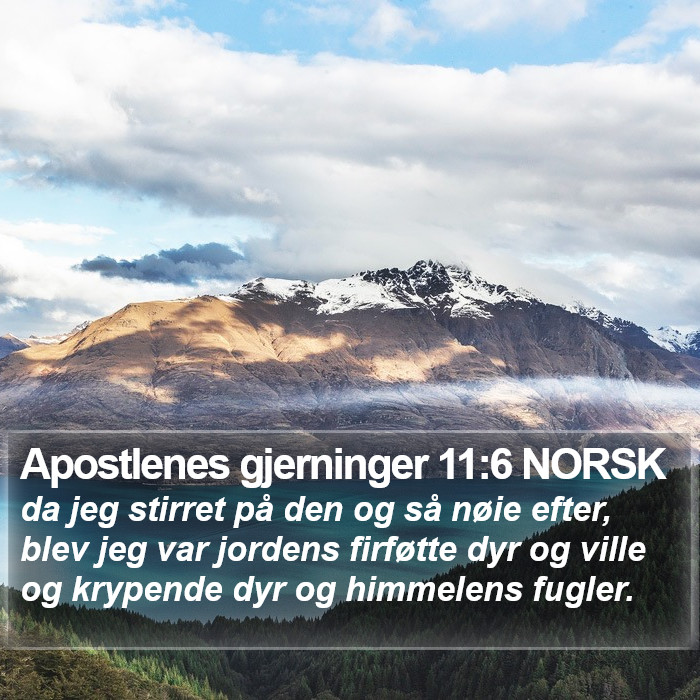 Apostlenes gjerninger 11:6 NORSK Bible Study