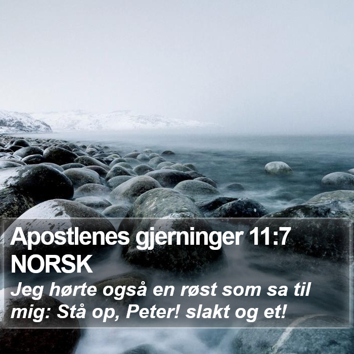 Apostlenes gjerninger 11:7 NORSK Bible Study