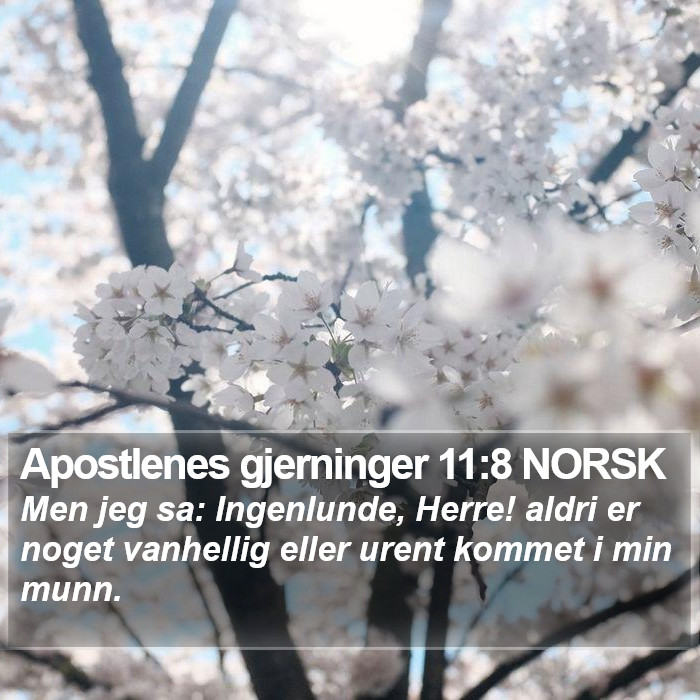 Apostlenes gjerninger 11:8 NORSK Bible Study