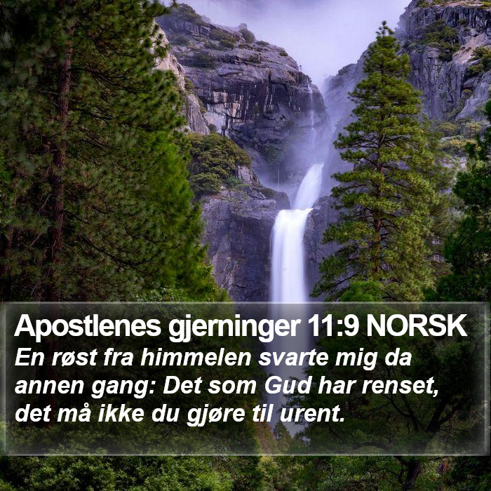 Apostlenes gjerninger 11:9 NORSK Bible Study