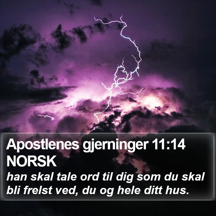 Apostlenes gjerninger 11:14 NORSK Bible Study