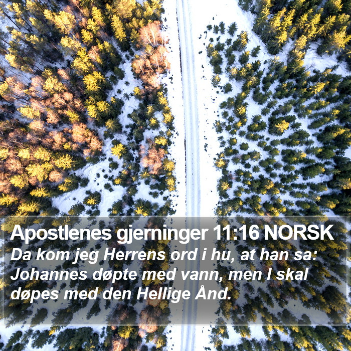 Apostlenes gjerninger 11:16 NORSK Bible Study