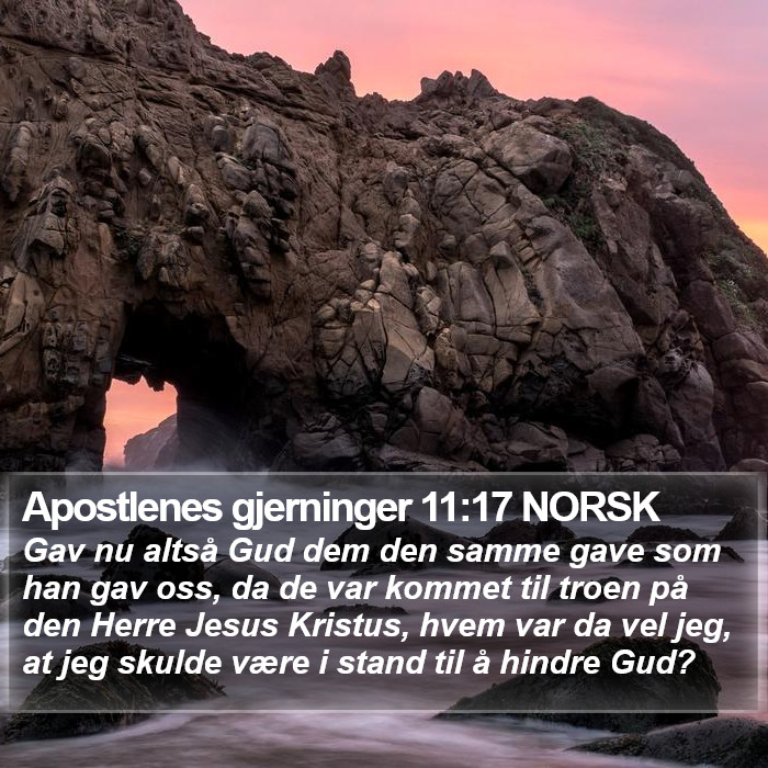 Apostlenes gjerninger 11:17 NORSK Bible Study