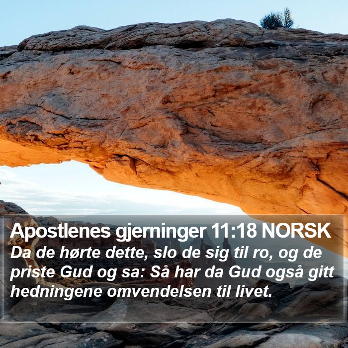 Apostlenes gjerninger 11:18 NORSK Bible Study